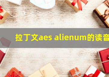 拉丁文aes alienum的读音